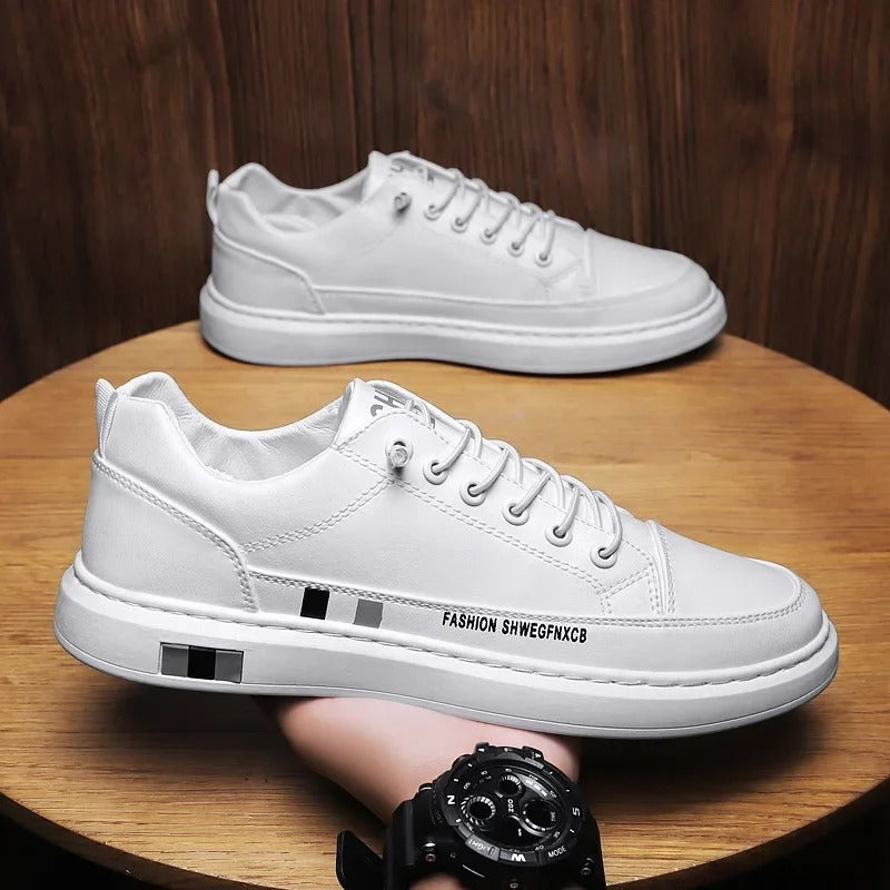 gid://shopify/MediaImage/24691966935134